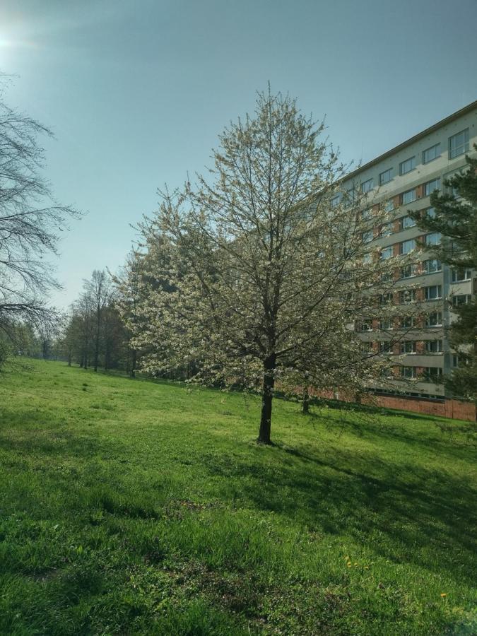 Flat Lesna Brno Lägenhet Exteriör bild